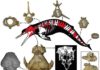 New postcranial skeleton of ancient dolphin Albertocetus meffordum found in South Carolina Albertocetus meffordum.