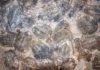 Oxygen levels link to ancient explosion of life, researchers find Trilobite, Ordovician fossils