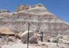 Research provides unique insight into extinction dynamics in late Triassic Petrified Forest National Park