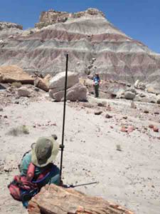 Petrified Forest National Park