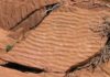 What are Ripple Marks? Ripple Marks