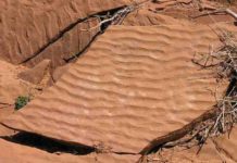 What are Ripple Marks? Ripple Marks