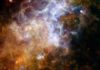 Space dust may transport life between worlds, research suggests Some of the coldest and darkest dust in space shines brightly in this infrared image from the Herschel Observatory.