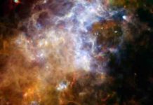 Space dust may transport life between worlds, research suggests Some of the coldest and darkest dust in space shines brightly in this infrared image from the Herschel Observatory.