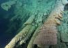 Unique underwater stalactites The Hells Bells in the El Zapote cave near Puerto Morelos on the Yucatán Peninsula.