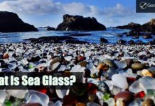 What Is Sea Glass? Sea Glass Beach
