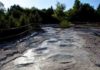 World’s Largest Dinosaur Tracks Were Discovered in the Jura Mountains The sauropod trackway