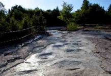 World’s Largest Dinosaur Tracks Were Discovered in the Jura Mountains The sauropod trackway