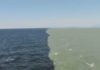 Atlantic and Pacific Ocean DO NOT MIX