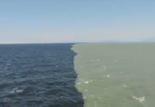 Atlantic and Pacific Ocean DO NOT MIX