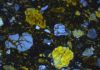 60 Million Year Old Meteorite Strike in Scotland Thin section view of meteoritic ejecta deposit si
