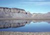 A hidden diversity of half-billion-year-old microscopic animal fossils
