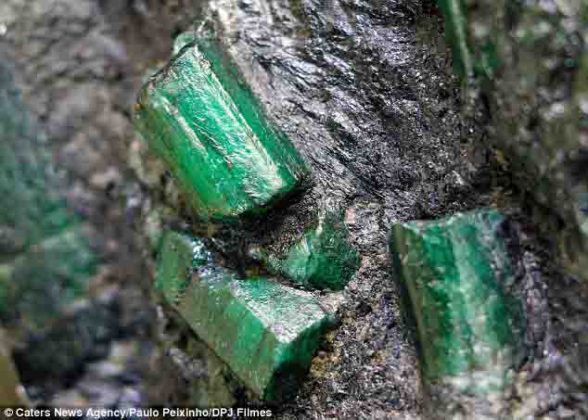 Brazil Emerald