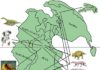 This map of Pangea shows the distribution of life during the late Permian period