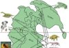 How much can 252-million-year-old ecosystems tell us about modern Earth? A lot This map of Pangea shows the distribution of life during the late Permian period
