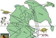 How much can 252-million-year-old ecosystems tell us about modern Earth? A lot This map of Pangea shows the distribution of life during the late Permian period