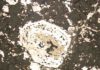 Meteorite analysis shows reduced salt is key in Earth’s new recipe This is a reflected light image of a metal-sulphide clast in the enstatite chondrite ALH 77295
