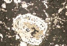 Meteorite analysis shows reduced salt is key in Earth’s new recipe This is a reflected light image of a metal-sulphide clast in the enstatite chondrite ALH 77295