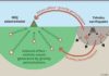 New early gravity signals to quantify the magnitude of strong earthquakes