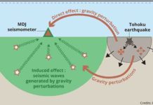 New early gravity signals to quantify the magnitude of strong earthquakes