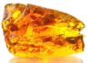 Nuclear technology unlocks 50-million-year-old time capsules Sample of amber