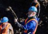 Researchers recover more mammoth bones from Chelsea-area farm Intact Mammoth Rib