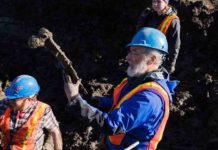 Researchers recover more mammoth bones from Chelsea-area farm Intact Mammoth Rib
