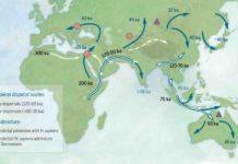 Revising the story of the dispersal of modern humans across Eurasia Map of sites and postulated migratory pathways associated with modern humans dispersing across Asia during the Late Pleistocene.