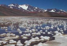 Arsenic and permafrost microbes help hunt for life on Mars Bacteria survive in the harsh conditions of the Andean lakes of Argentina among high concentrations of arsenic.