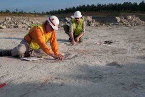 Dinosaur tracks.