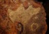 Dinosaur age meets the space age Detail view of a cast from the sandstone slab imprinted with more than 70 dinosaur and mammal tracks discovered at NASA's Goddard Space Flight Center in Greenbelt, Maryland.