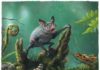An artist's impression of a New Zealand burrowing bat, Mystacina robusta, that went extinct last century.