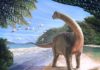 Mansourasaurus, New Egyptian dinosaur