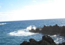 Primordial oceans had oxygen 250 million years before the atmosphere Ocean.