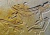 The eleventh Archaeopteryx “Geologically oldest fossil” Archaeopteryx