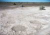 Ancient trail of Columbian mammoths uncovered in south-central Oregon Footprints of mammoths, dated to 43,000 years ago, are seen in a portion of a trackway that was uncovered by researchers in 2017 in an ancient dry lake bed in Lake County, Oregon.