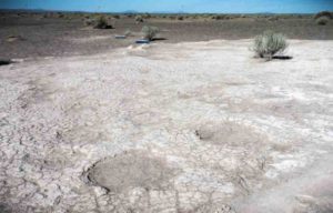 Footprints of mammoths, dated to 43,000 years ago, are seen in a portion of a trackway that was uncovered by researchers in 2017 in an ancient dry lake bed in Lake County, Oregon.