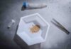 Complete genomes of extinct and living elephants sequenced This is crushed dentine from a Woolly Mammoth for DNA extraction.