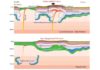Cratonic lithosphere with a high-density root undergoes delamination when perturbed by mantle plumes from beneath. The removed cratonic root then thermally grows back, with its rock fabrics preserving recent mantle deformation.