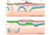 Continental interiors may not be as tectonically stable as geologists think Cratonic lithosphere with a high-density root undergoes delamination when perturbed by mantle plumes from beneath. The removed cratonic root then thermally grows back, with its rock fabrics preserving recent mantle deformation.