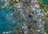 Did surface life evolve on Mars? scientist makes key discoveries in the search for life on Mars Diverse mineralogy exhumed from the Martian subsurface: A false color image from the HiRISE instrument aboard NASA's Mars Reconnaissance Orbiter shows amazing diversity of rocks exhumed from the Martian subsurface a meteor impact in the Nili Fossae area.