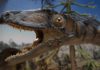 Dinosaurs were ‘too successful for their own good’ Exhibit Museum Replica Urtier Prehistoric Times
