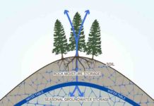 Hidden ‘rock moisture’ could be key to understanding forest response to drought This moisture in the layer of weathered rock that is commonly located beneath soils is an important part of the water cycle on the local and global level. Tree roots tap into the rock moisture and release it back into the atmosphere as water vapor, and water flows through the fractures and becomes part of the seasonal groundwater storage (blue arrows).