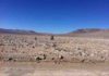 Life in world’s driest desert seen as sign of potential life on Mars Hyperarid core of the Atacama Desert.