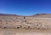 Life in world’s driest desert seen as sign of potential life on Mars Hyperarid core of the Atacama Desert.