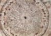 Plants colonized Earth 100 million years earlier than previously thought Rhynia gwynne-vaughanii -- 400 million-year-old fossil plant stem from Aberdeenshire, Scotland.