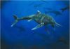 Rare ichthyosaur is only second known example Wahlisaurus massarae
