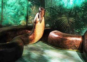 Titanoboa devouring a dyrosaurid crocodyliform, from the Smithsonian exhibit 