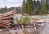 Cretaceous croc had steamy past Isisfordia duncani