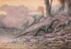 Decade of fossil collecting gives new perspective on Triassic period, emergence of dinosaurs Teleocrater, an early dinosaur relative, is shown feeding on Cynognathus, while hippo-like dicynodonts look on. All of these animals lived in the mid-Triassic of Tanzania, about 240 million years ago.
